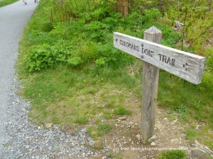 Clingmans Dome Trail