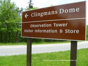 Clingmans Dome Road