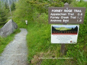 Smoky Mountain hiking