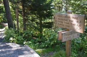 Smoky Mountains trails