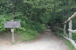 Smoky Mountain Trails